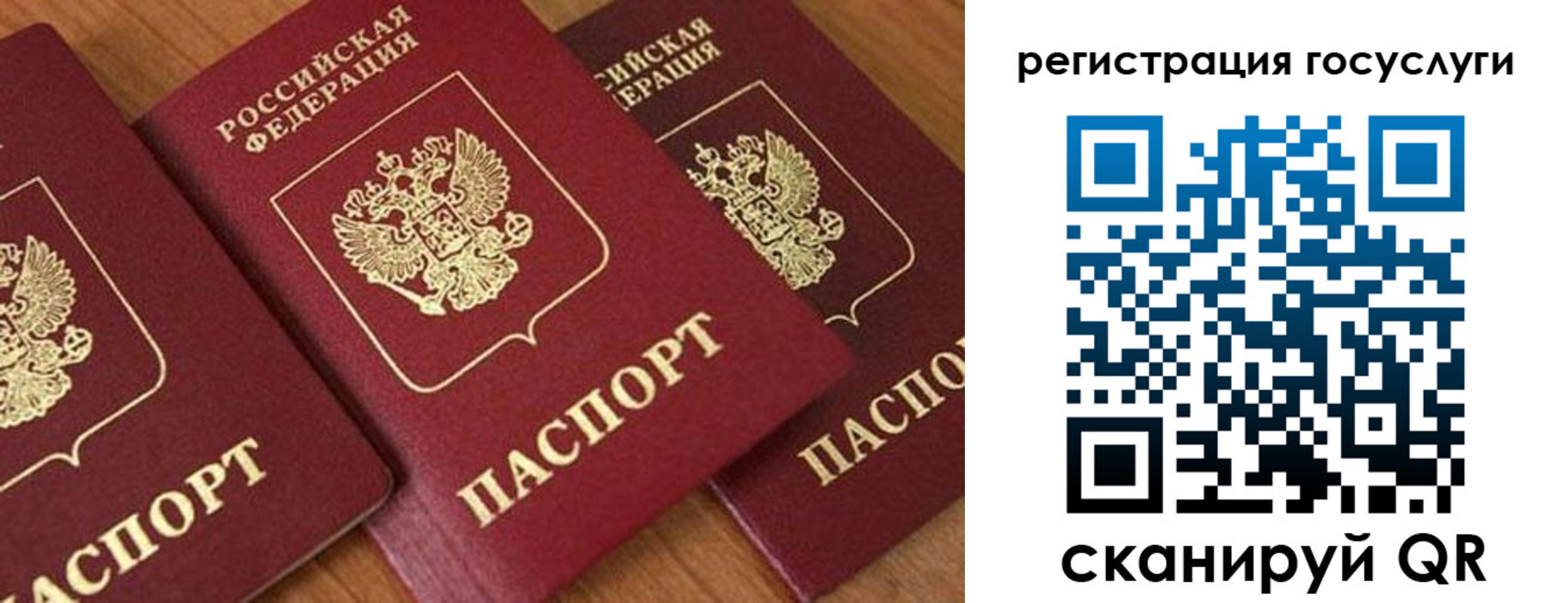 временная регистрация гарантия в Тереке